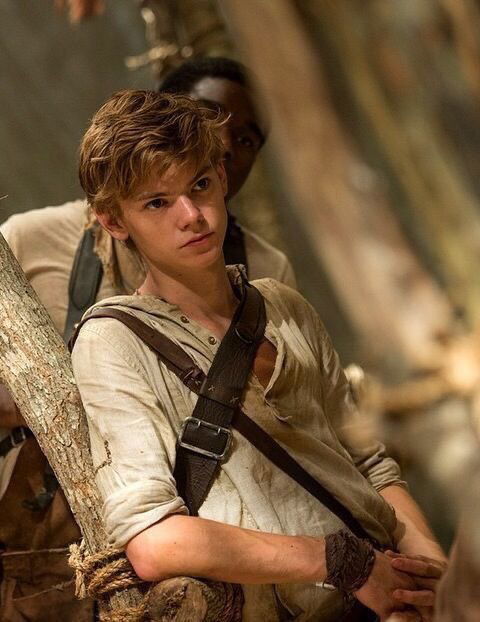 Maze runner