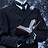 Victorian Lord
