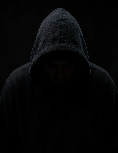 the voice..