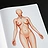 Anatomy Woman