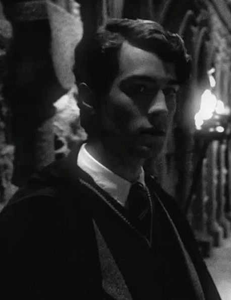 Chat with Tom Marvolo Riddle on Spicychat