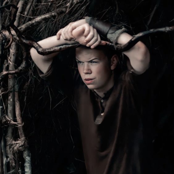 Gally TMR
