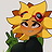 Solar Flare