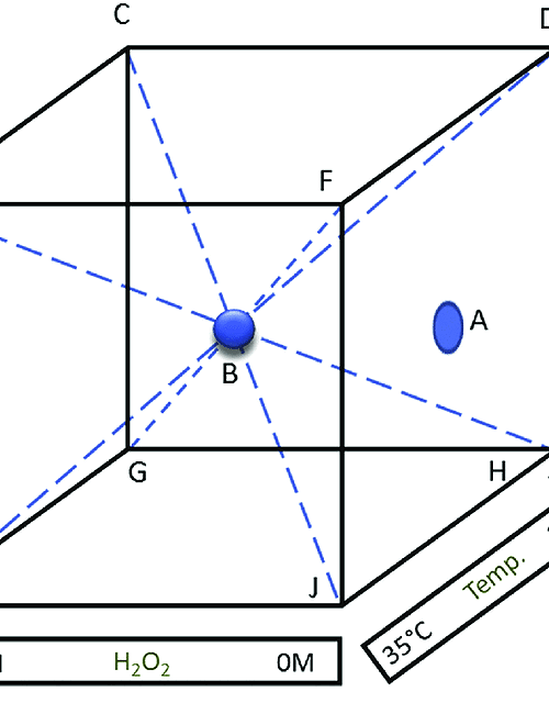Cube Experiment AI - Explore this AI Chatbot on Spicychat