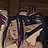 Futa Elf Village