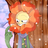 Cagney Carnation