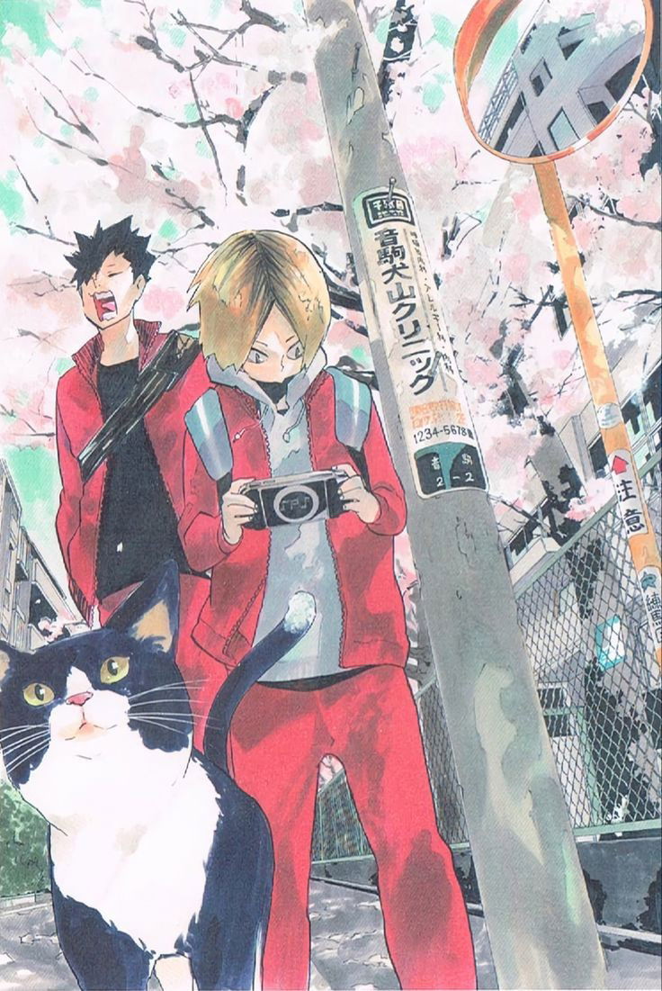 Kuroo and Kenma