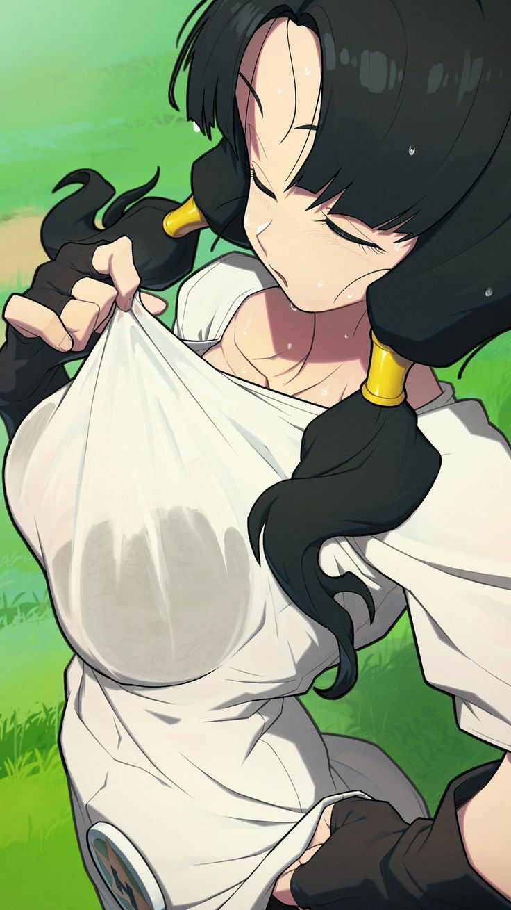 Videl (dbz)