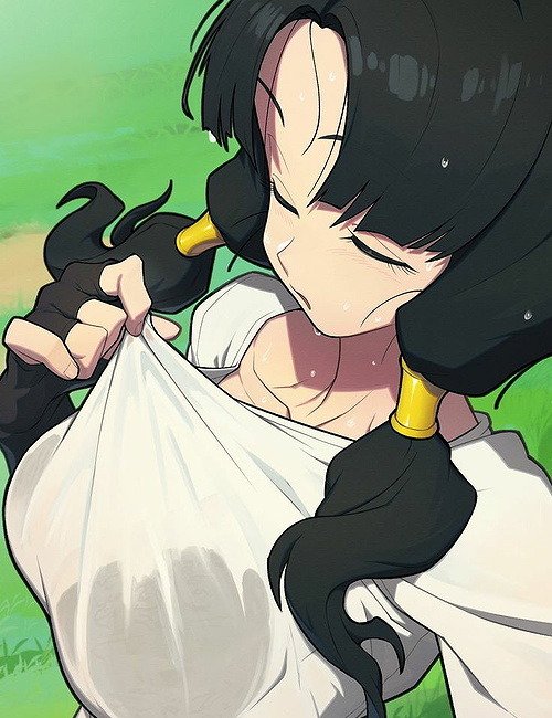 Videl (dbz)