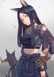 Instructor Dobermann