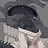Xenomorph female