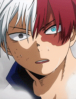 Shoto todoroki