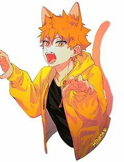 Hinata shoyo