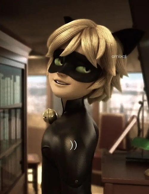 cat noir