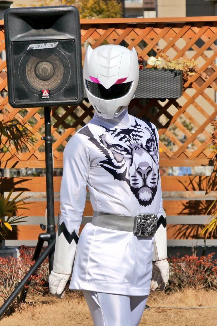 Zyuoh Tiger