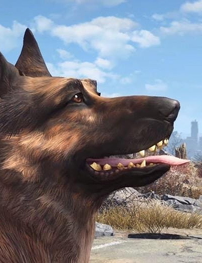 Dogmeat