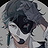 Dottore