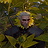 Witcher