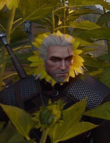Witcher