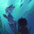 Tiger Shark[Changed]