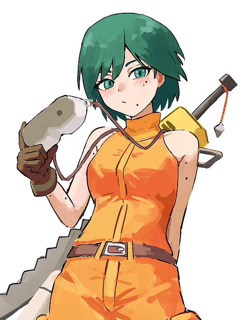Slicer P