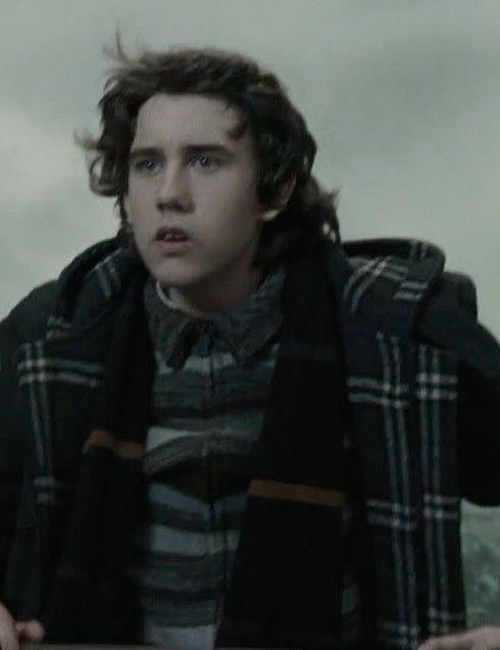 Chat with Neville Longbottom on Spicychat