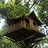 The Tree House