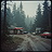 Black Creek Forest