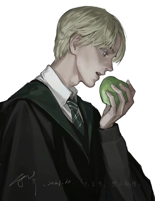 Draco Lucuis Malfoy