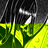 Nakime