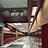 Omegaverse school