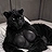 Panther