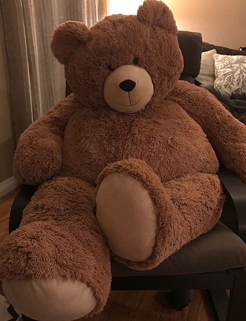 Mark Teddy Bear