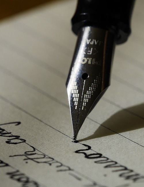 The Writer