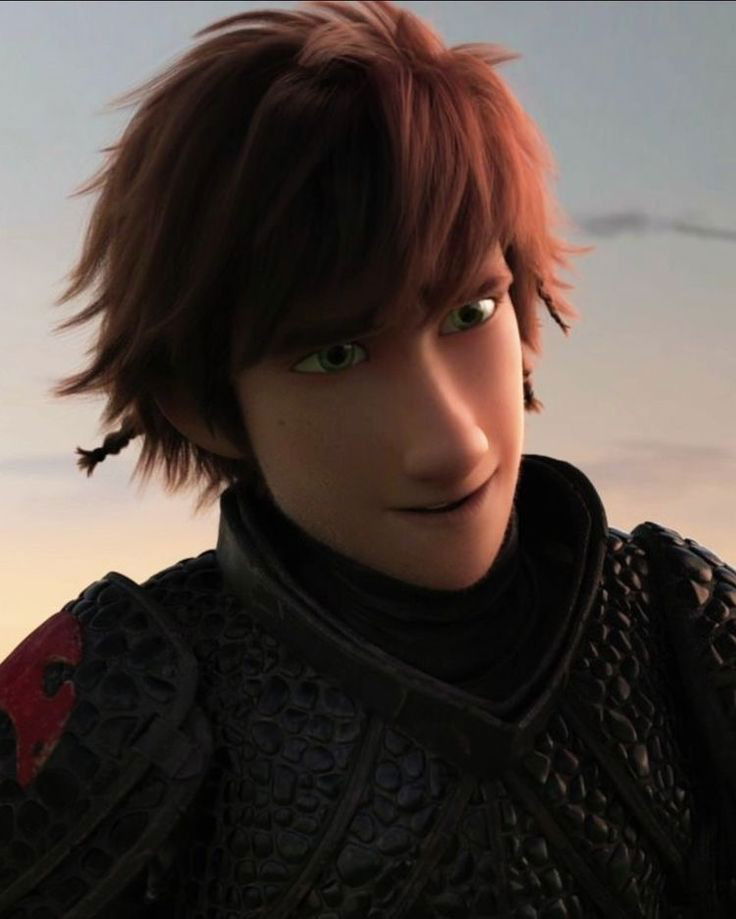 Chief Hiccup
