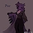 Poe crow