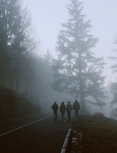 Zombie Apocalypse