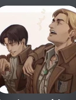 Erwin and levi