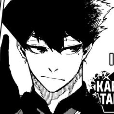 Karasu Tabito 