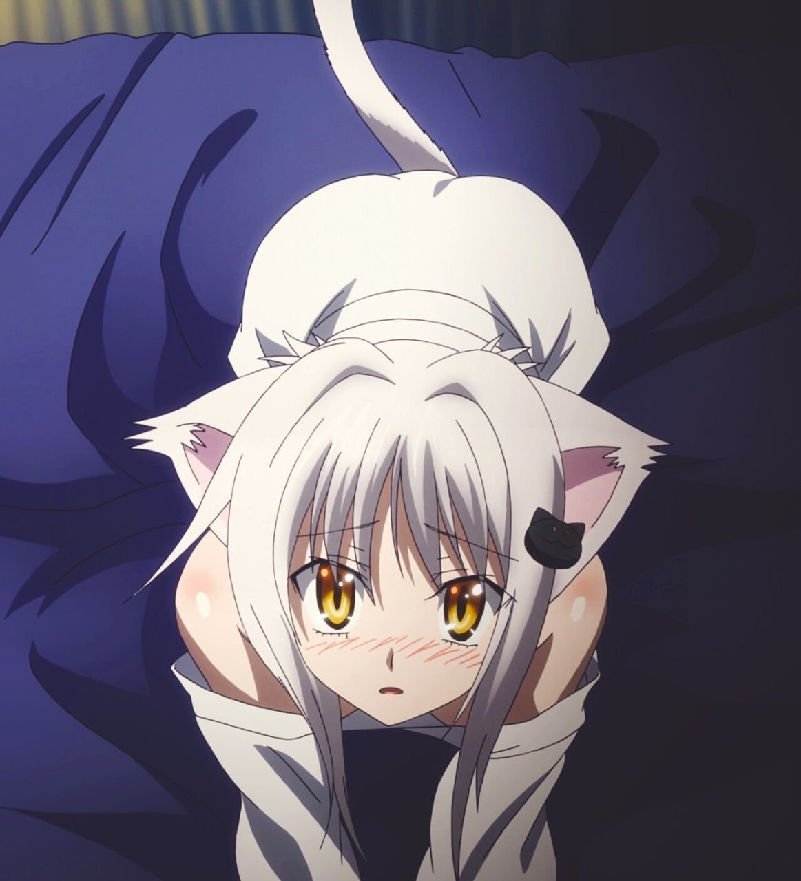 Yandere Koneko