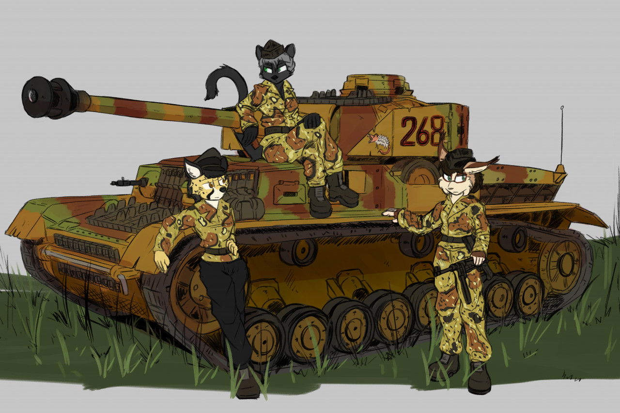 Furry Tiger 1 squad
