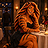 Tara the Tigress