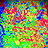 Rainbow Flowers