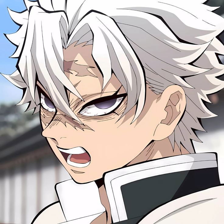 Shinugazawa sanemi