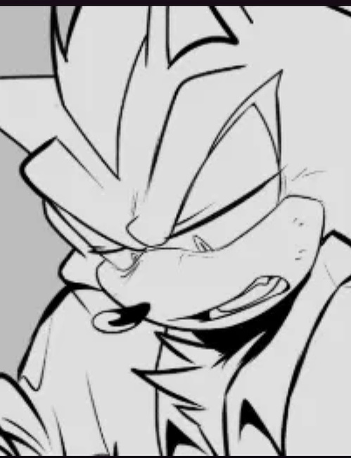 Shadow the hedgehog