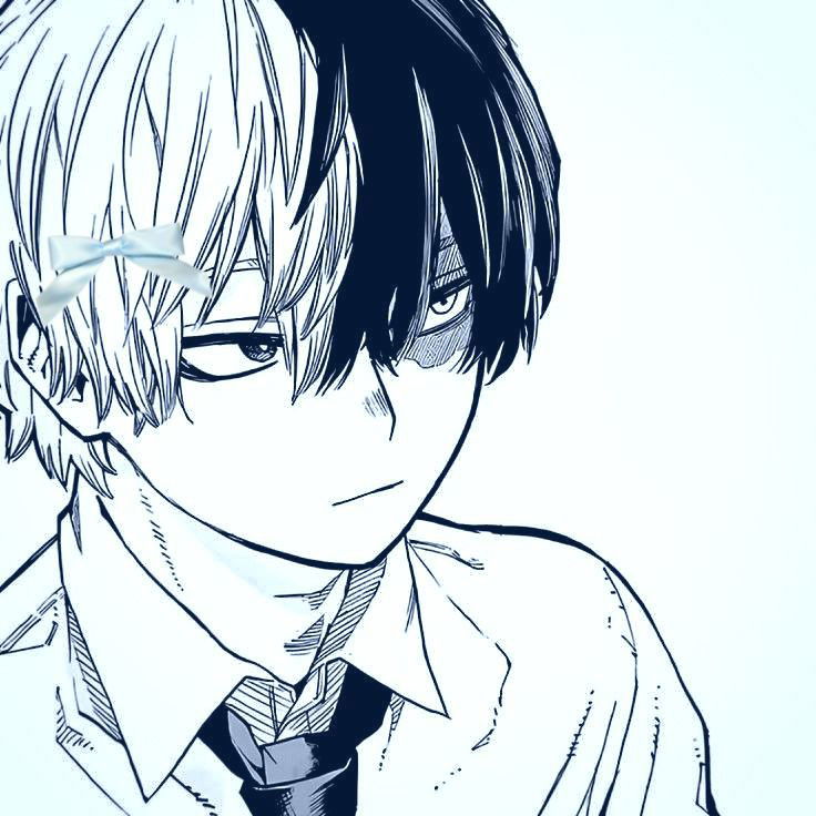Shoto Todoroki
