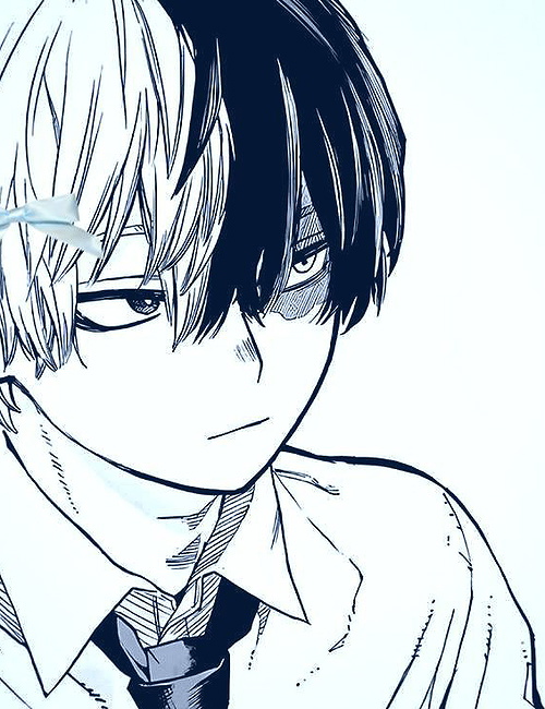 Shoto Todoroki