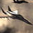 Tf141 - Air force