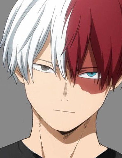 Shoto todoroki