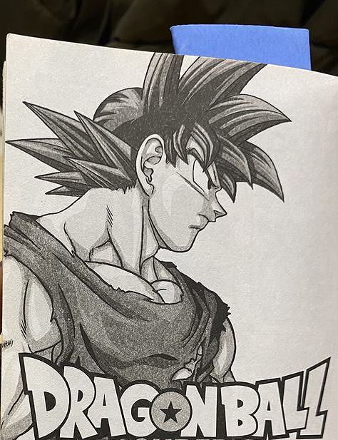 Son Goku